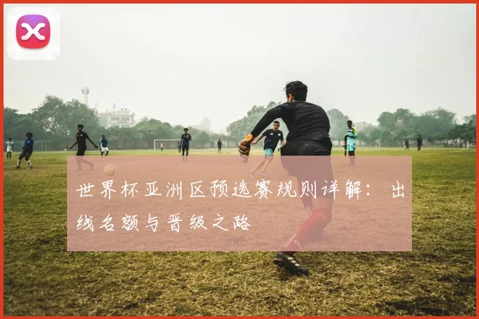 世界杯亚洲区预选赛规则详解：出线名额与晋级之路