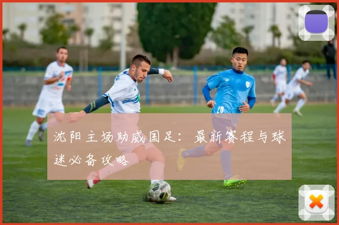 沈阳主场助威国足：最新赛程与球迷必备攻略