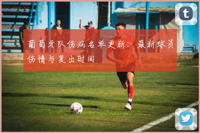 葡萄牙队伤病名单更新：最新球员伤情与复出时间
